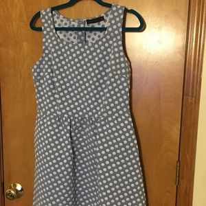The Limited Flare Dress size 12